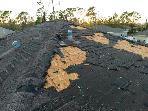 Best Roof Moss and Algae Removal  in Morristown, IN